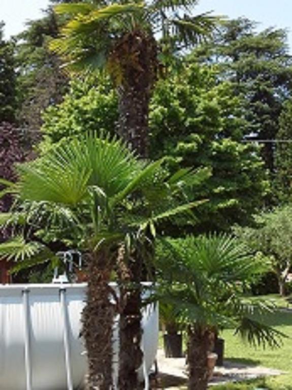 Relais Villa Lézard Lazise Chambre photo